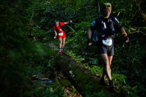 BIB: 
                            <button type="button" onclick="openModal(18921719)" class="btn btn-primary btn-sm float-right btn-popup" data-toggle="modal" data-target=".modal-high-quality">
                        <i class="fas fa-shopping-cart"></i> Add to Cart
                    </button>
                                            <button type="button" onclick="isThisMe(18921719, true)" class="btn btn-success btn-sm float-right btn-popup btn-isme hidden" data-toggle="tooltip" data-placement="bottom" title="นี่คือรูปของคุณใช่ไหม คลิกที่นี่เพื่อเอาเข้าอัลบั้ม">
                        <i class="fas fa-plus"></i> Add to album
                    </button>
                    <button type="button" onclick="isThisMe(18921719, false)" class="btn btn-warning btn-sm float-right btn-popup btn-isnotme hidden">
                        <i class="fas fa-ban"></i> Remove from album
                    </button>